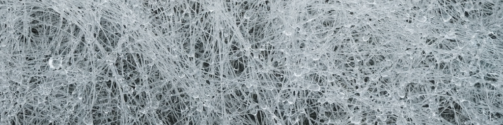 A tangle of webs with dew drops